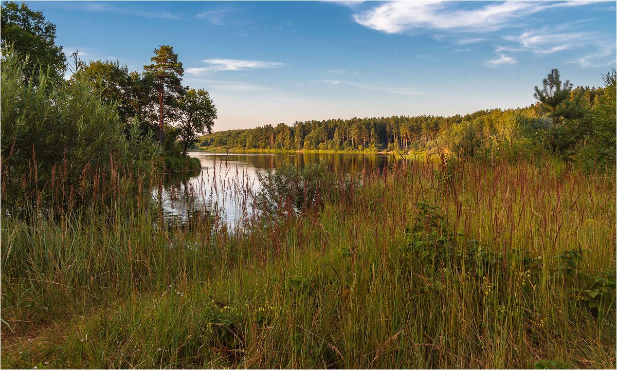 Sommer auf dem Fluss