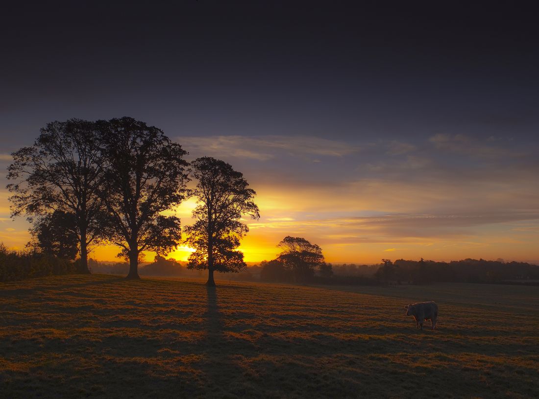 Lonely ... und Dawn ...