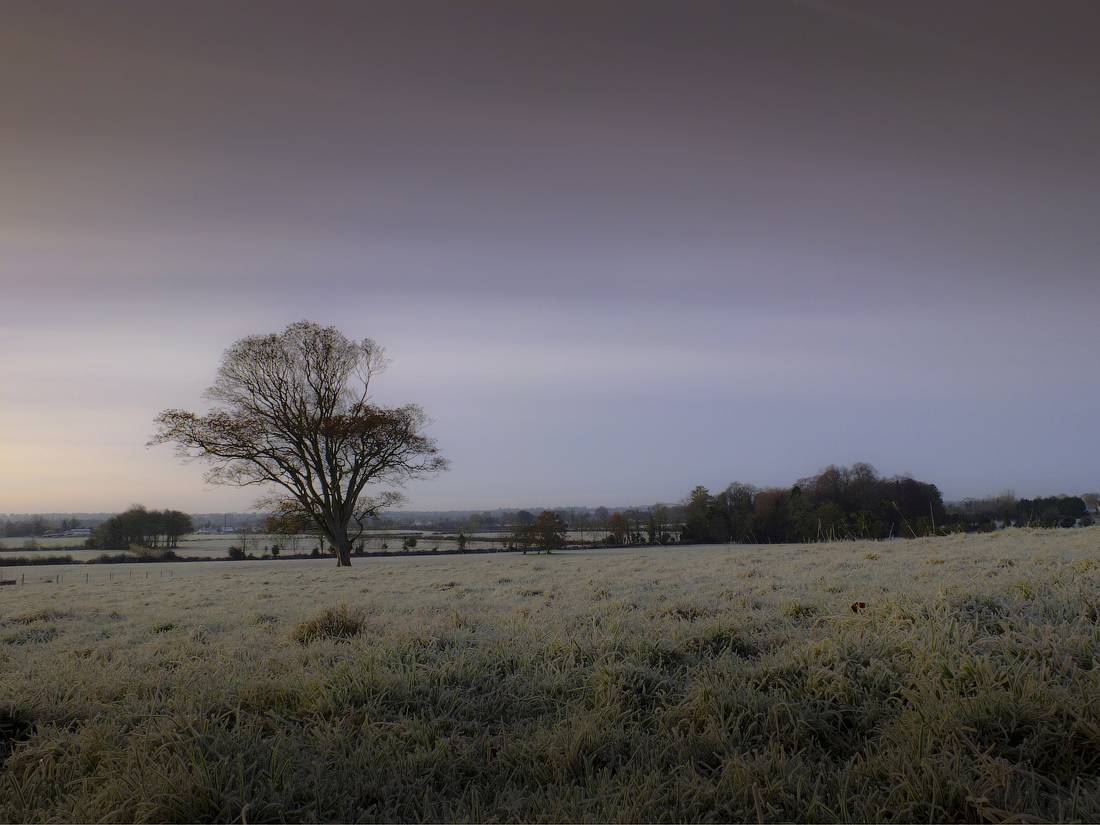 Noyabrsk ... Morgen ...