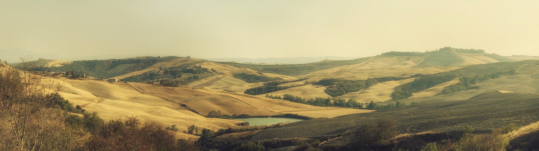 Yellow Flame Toskana