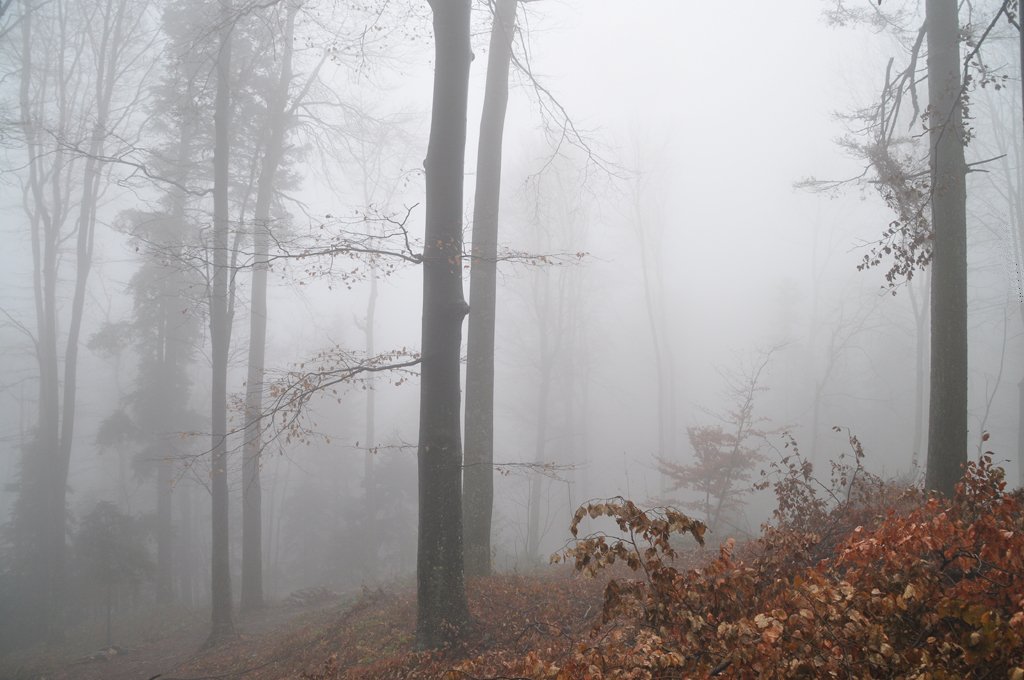 Something like a fog