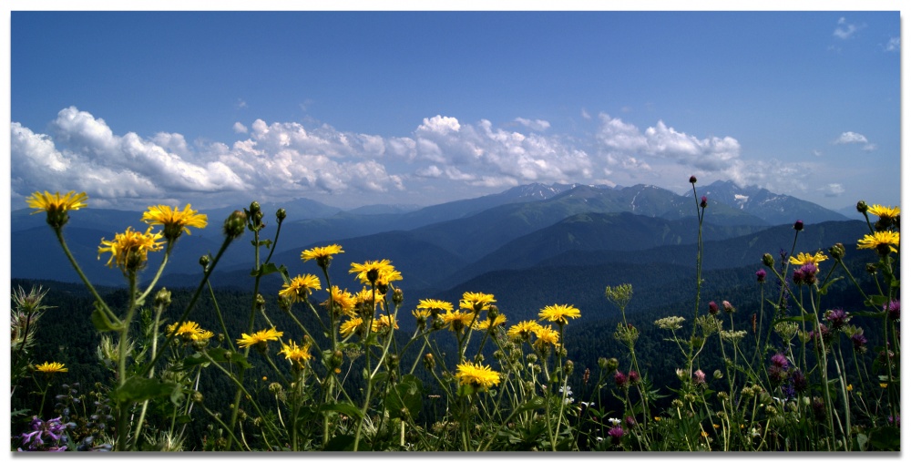 Sommer in den Bergen