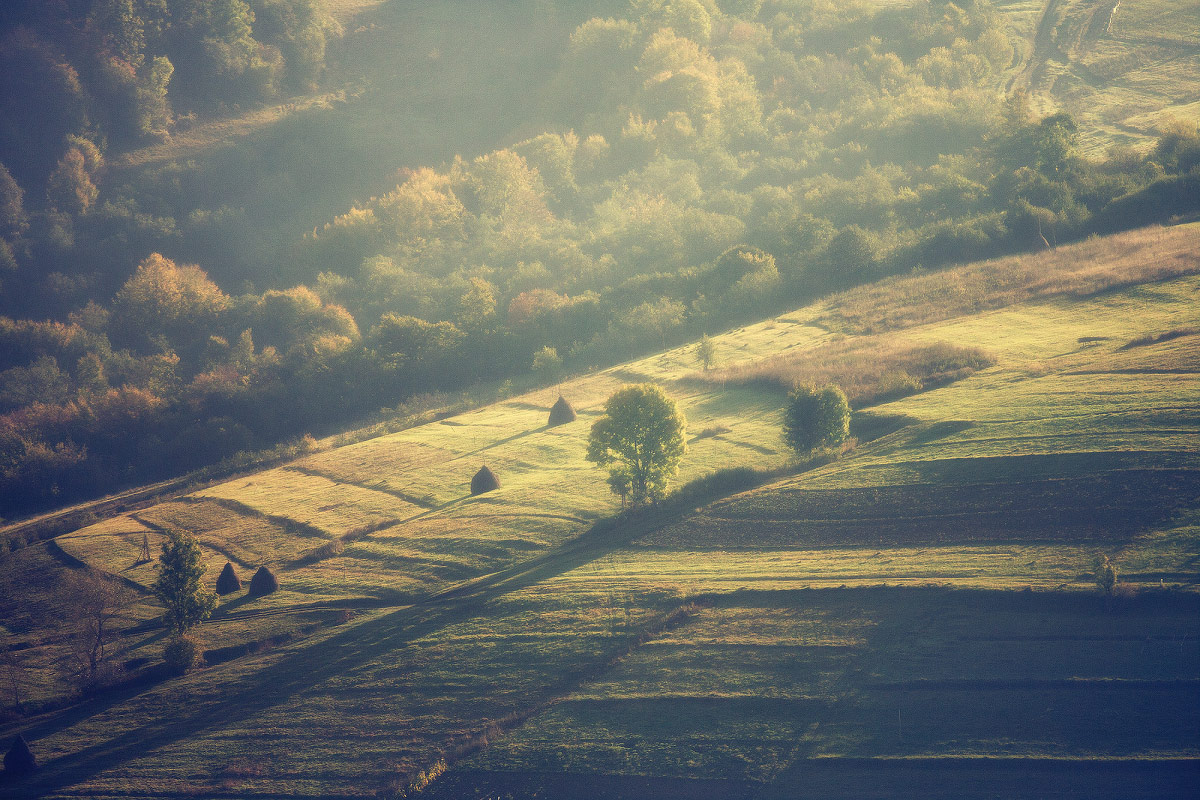 Erinnerungen an den Karpaten ..............