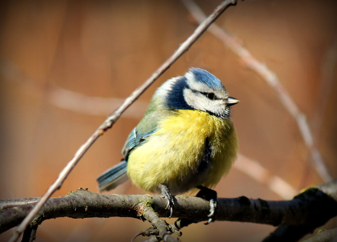 Lazarevka zurück ....