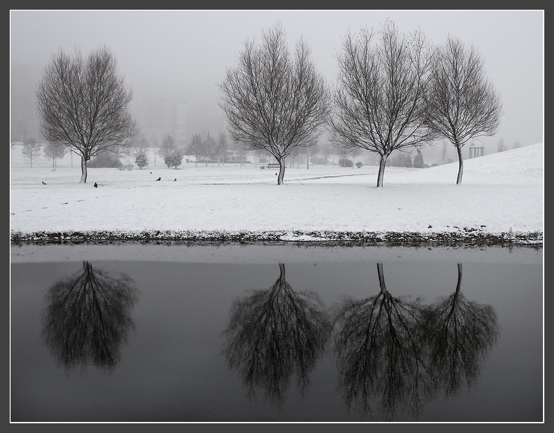 Nebel im November (2)