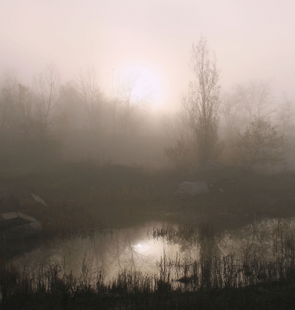 Tracts Protych Morgen.