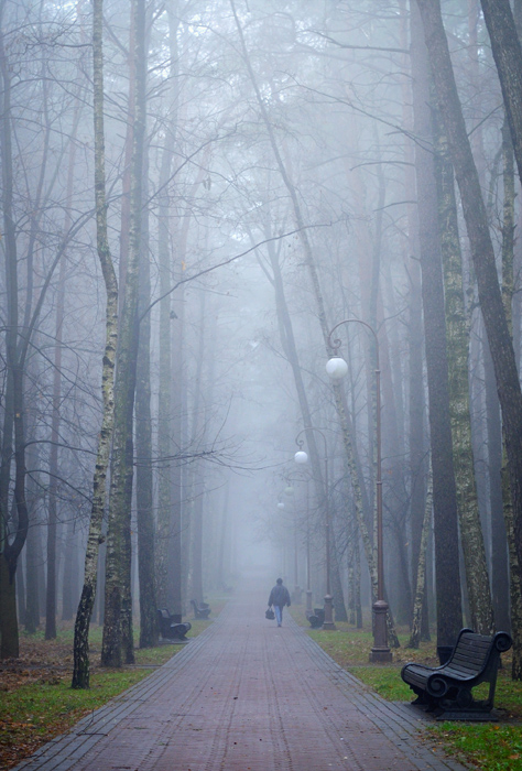 Misty stellte sich heraus, im November