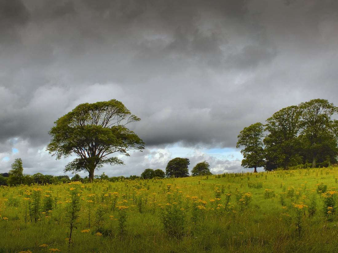 Unter Hinweis auf die Juni Sturm ......