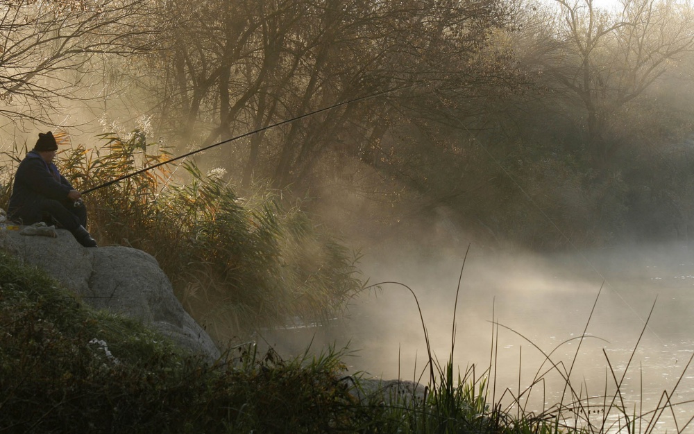 Angesichts des Nebels.