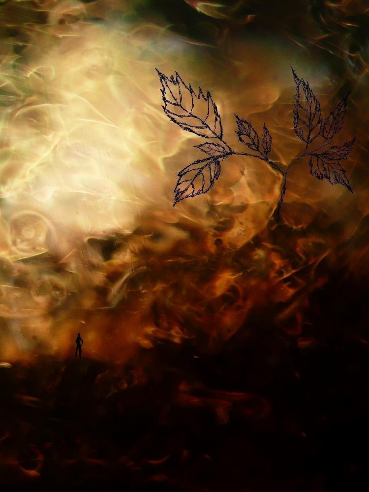 Nun, das ist im Herbst