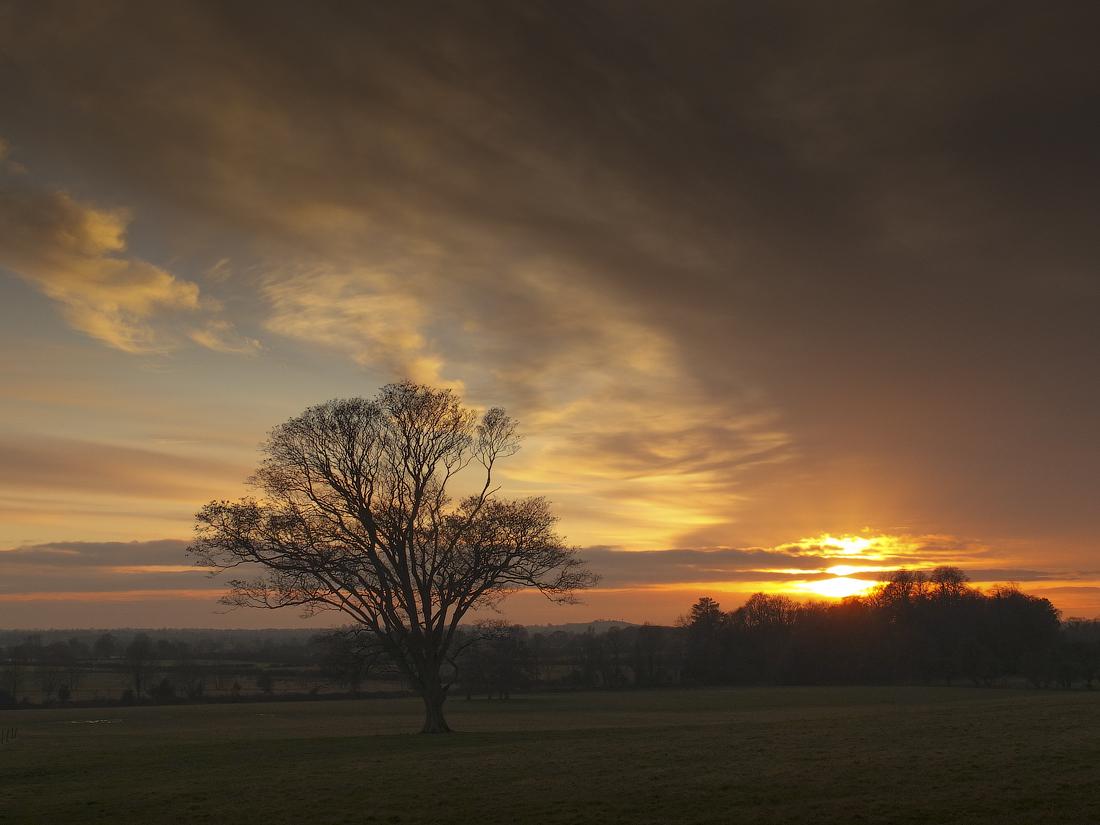 ...November's last...