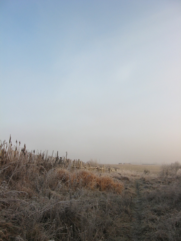 ersten Schritte des Winters