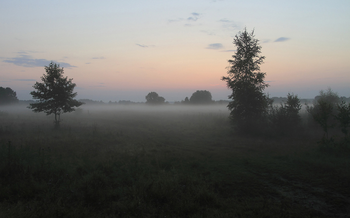 Erinnerung an den Sommer