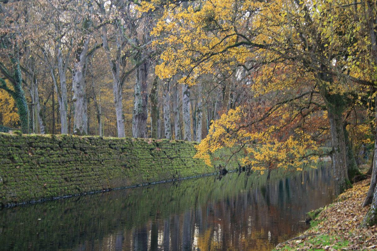 Autumn in Chenonceaux