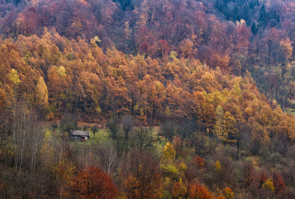 In Gefangenschaft fallen ...