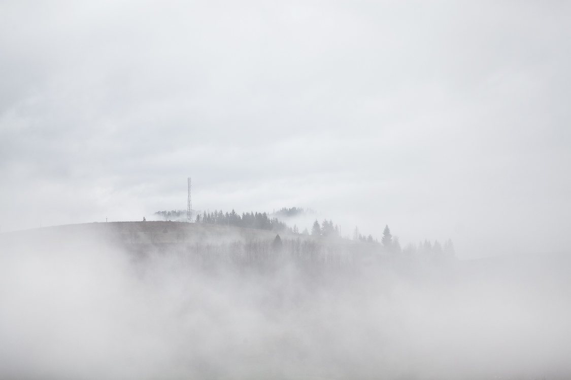 The White Watercolor Mist