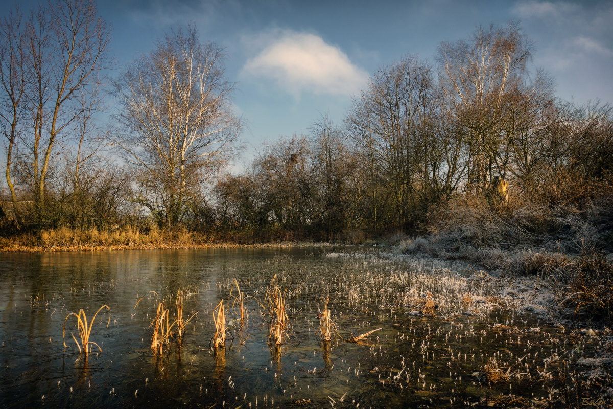 Freezing Pond