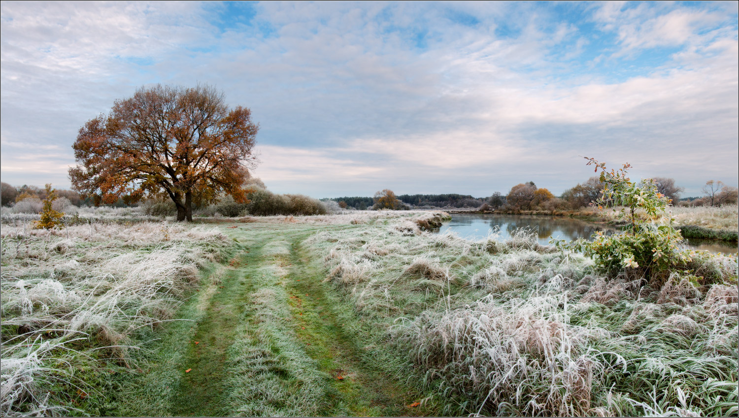 / Der erste Frost ... /