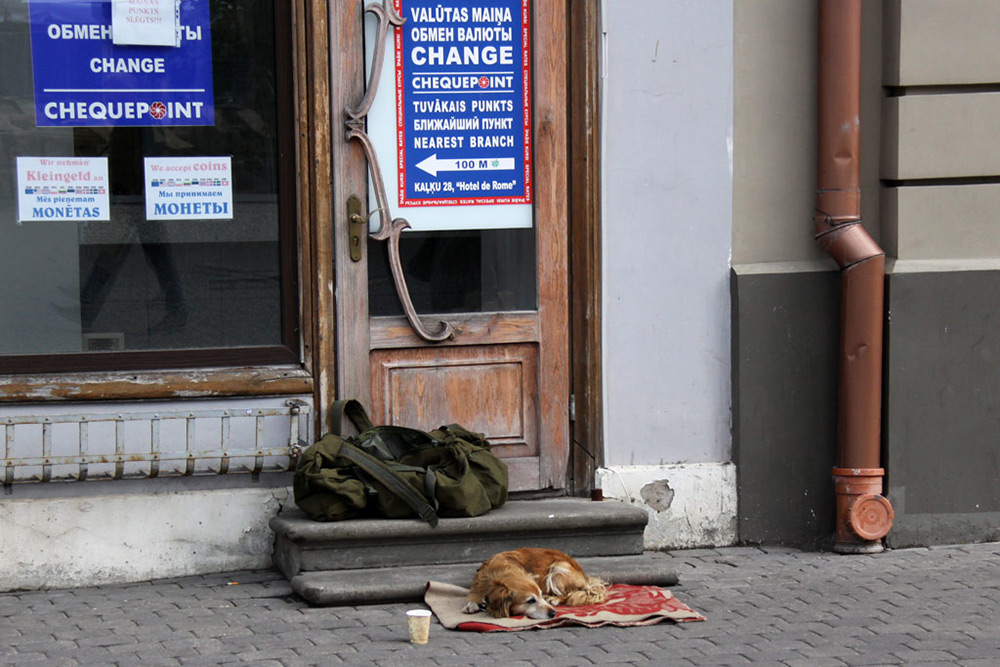 Hey, Professor, was hast du getan ...