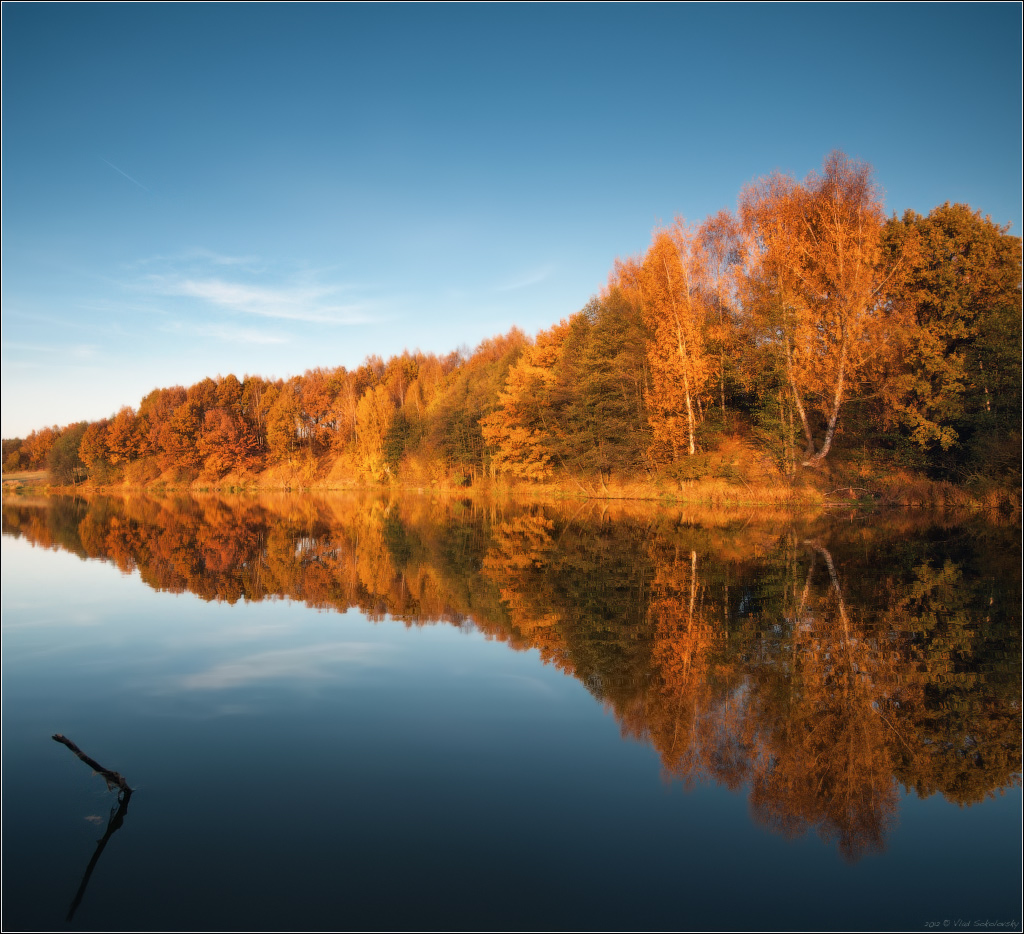 / Roten Schwanz Herbst .. /