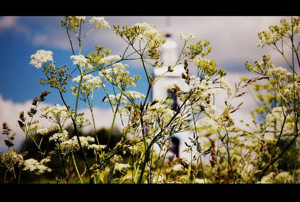 Kirche der Geburt der seligen Jungfrau in der Burg (Klöster Pereslavl-Zaleski)