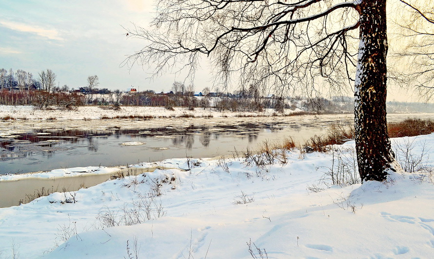 Düna vor der Gefriertrocknung