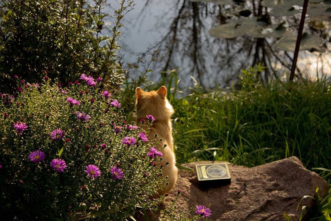 Что на рыбалке самое главное? Терпение...