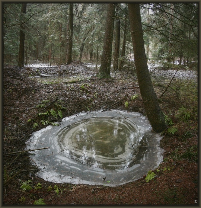 in der Landschaft ...