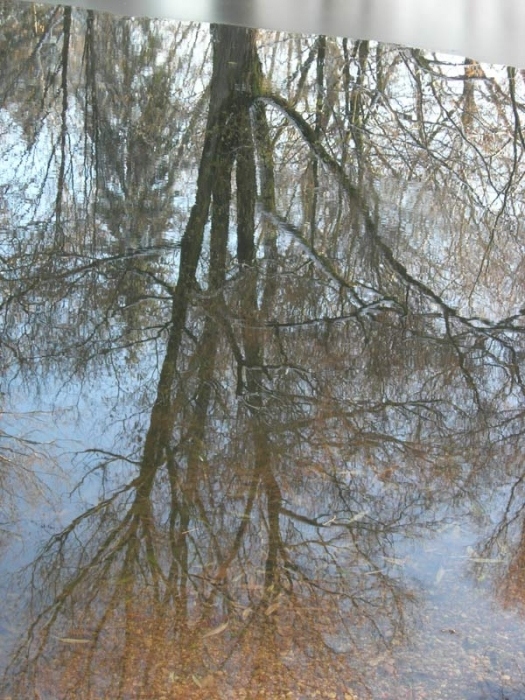 ein bisschen Reflexion der Herbst ...