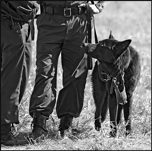 Der Eigentümer, wenn Demobilisierung?