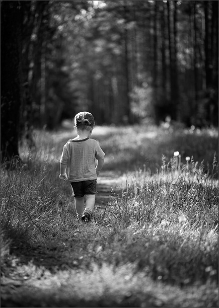 Entlang des Weges, die Wege