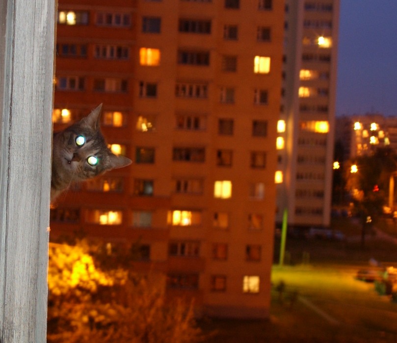 wer teremochke Leben?