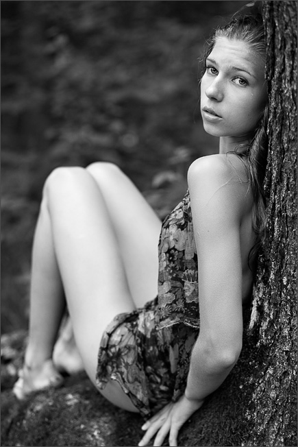 Unter dem Baldachin des Waldes