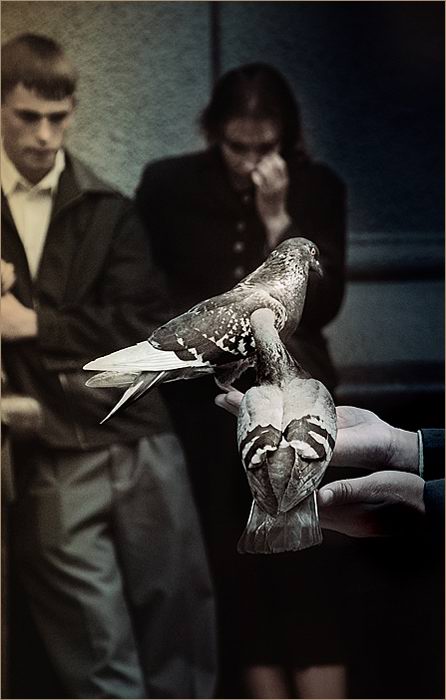 Picasso ... Traurigkeit ...