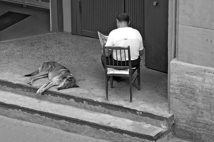 ... Und nicht funktionieren ...