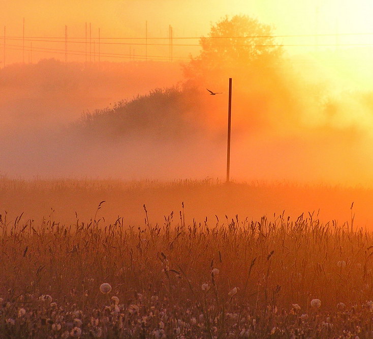 Morgen kreiste Besitz