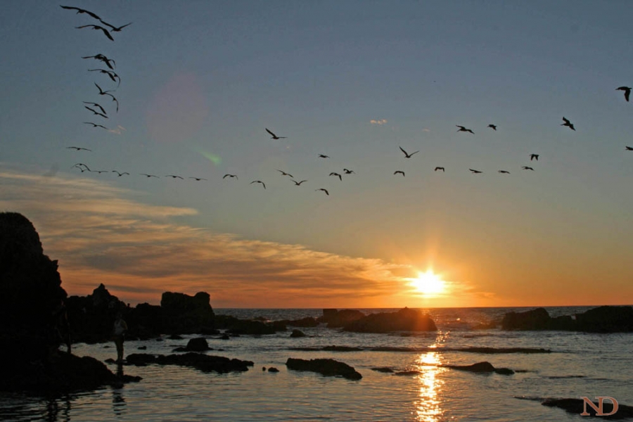 Sonnenuntergang über dem Pazifik