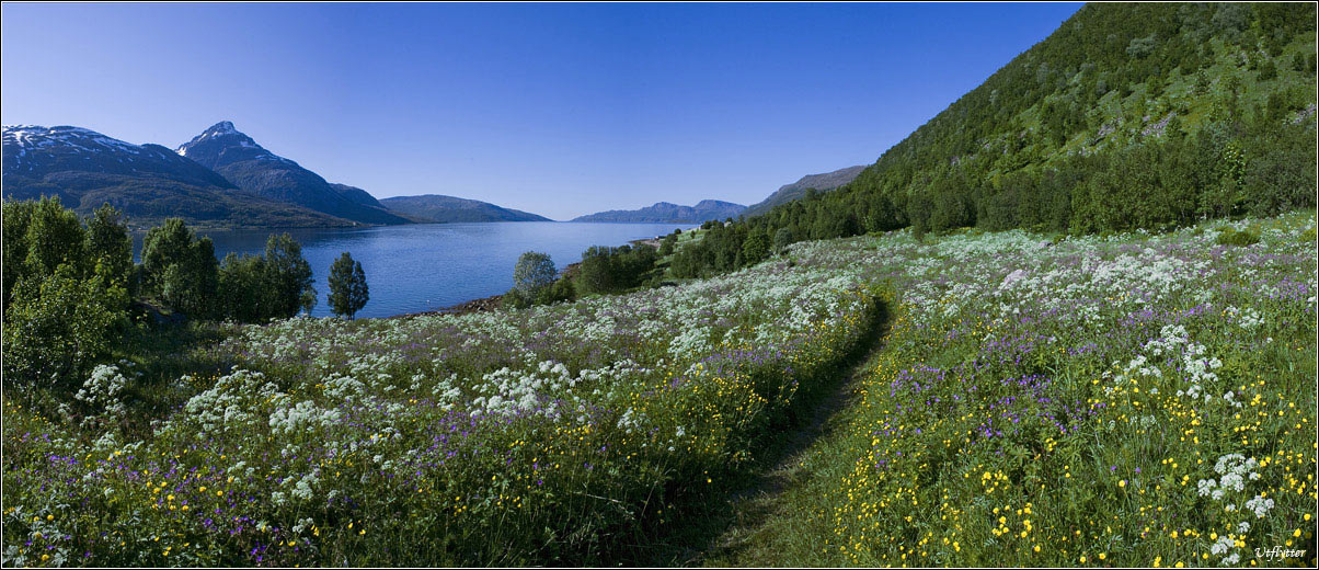 Über den Sommer in der Arktis.