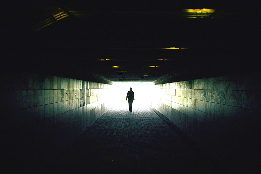 ... der vorliegenden