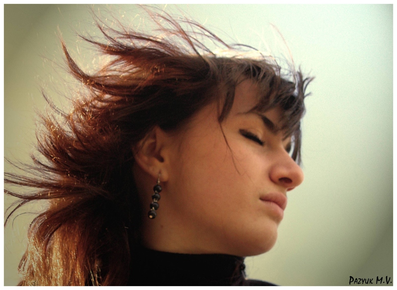 Auf einer Welle der ...