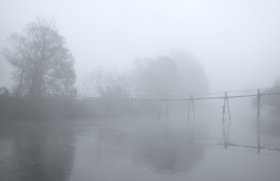 Die Stunde des Wolfs