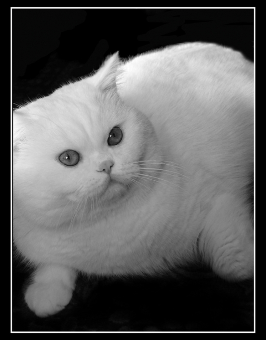 Yukos Yungland (ein Porträt des britischen Lord)