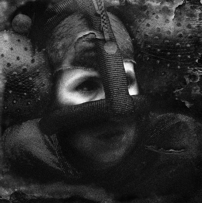 R e i n c a r n a t i o n_o f_t h e_f l y