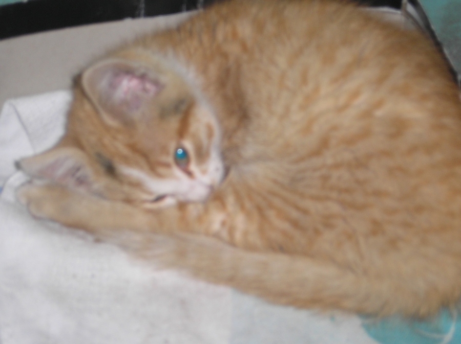 geben in guten Händen