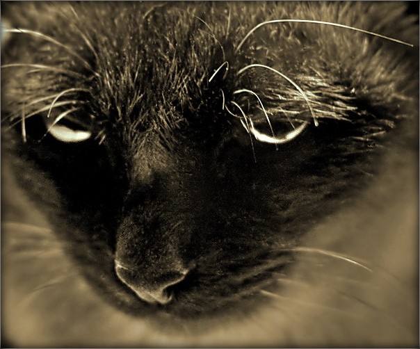 Nach unten, verlockend ...