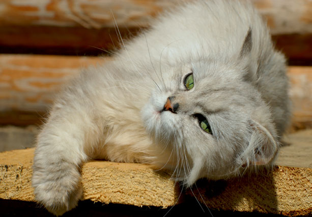 Und so magst du mich?