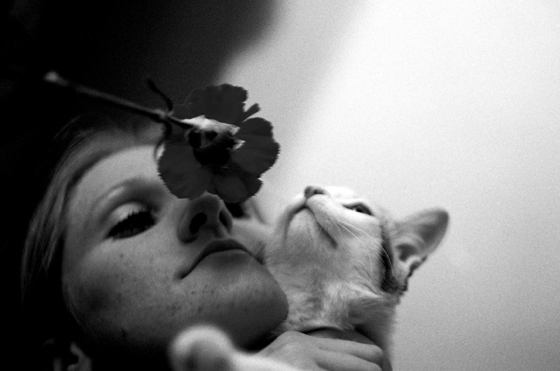 Alle Frauen lieben es ...