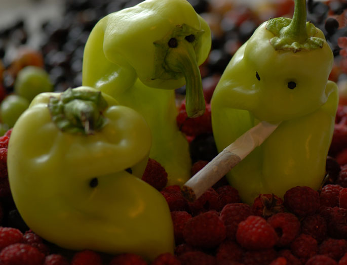 ... Auf der Himbeere Sammlung von Tipps ...