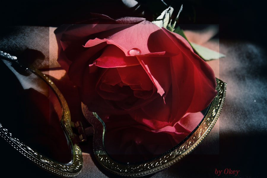 Spiegel der Liebe ...