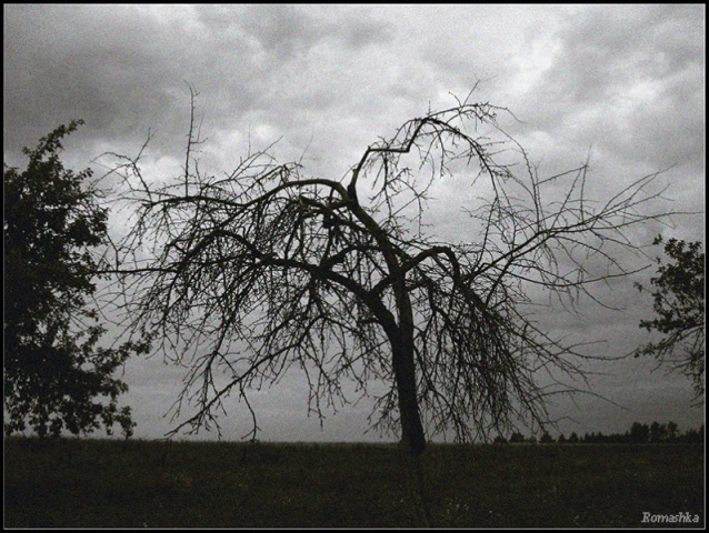 Diese - die Stimmung der letzten beiden Tage, wenn der Regen frech bis zum Ende wurde!
